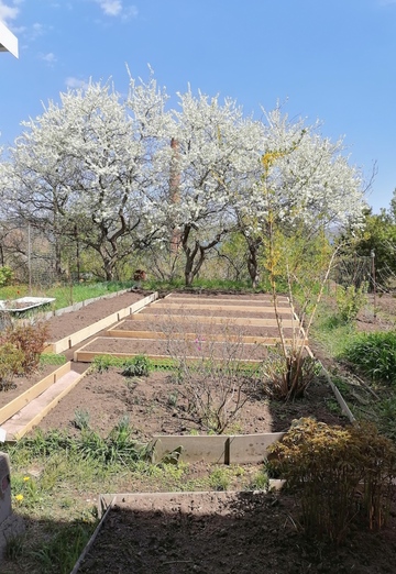 anatoliy (@anatoliy118476) — my photo № 1